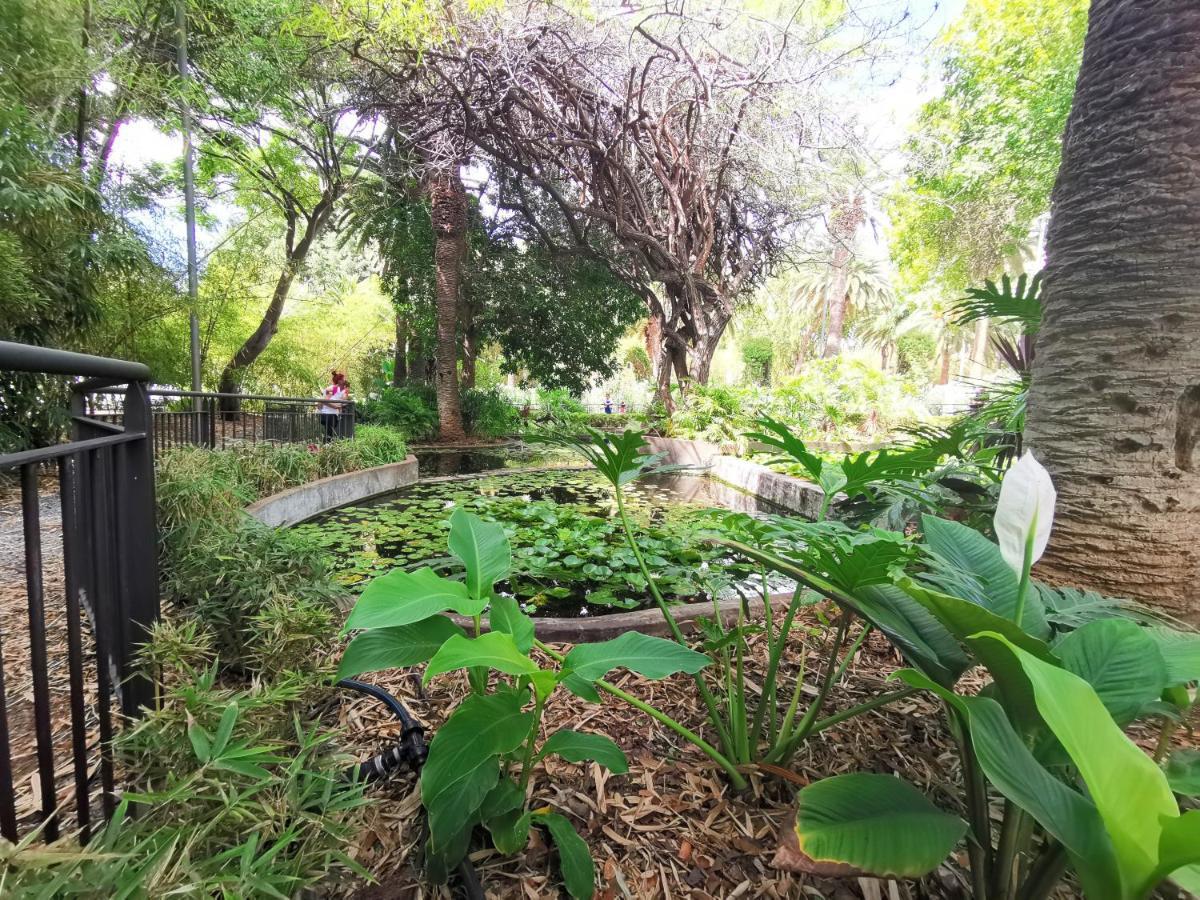 Home2Book Charming Apartment Santa Cruz, Wifi מראה חיצוני תמונה
